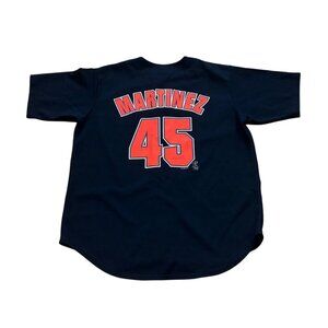 Boston Red Sox Pedro Martinez #45 True Fan Baseball Jersey Blue Men's Large
